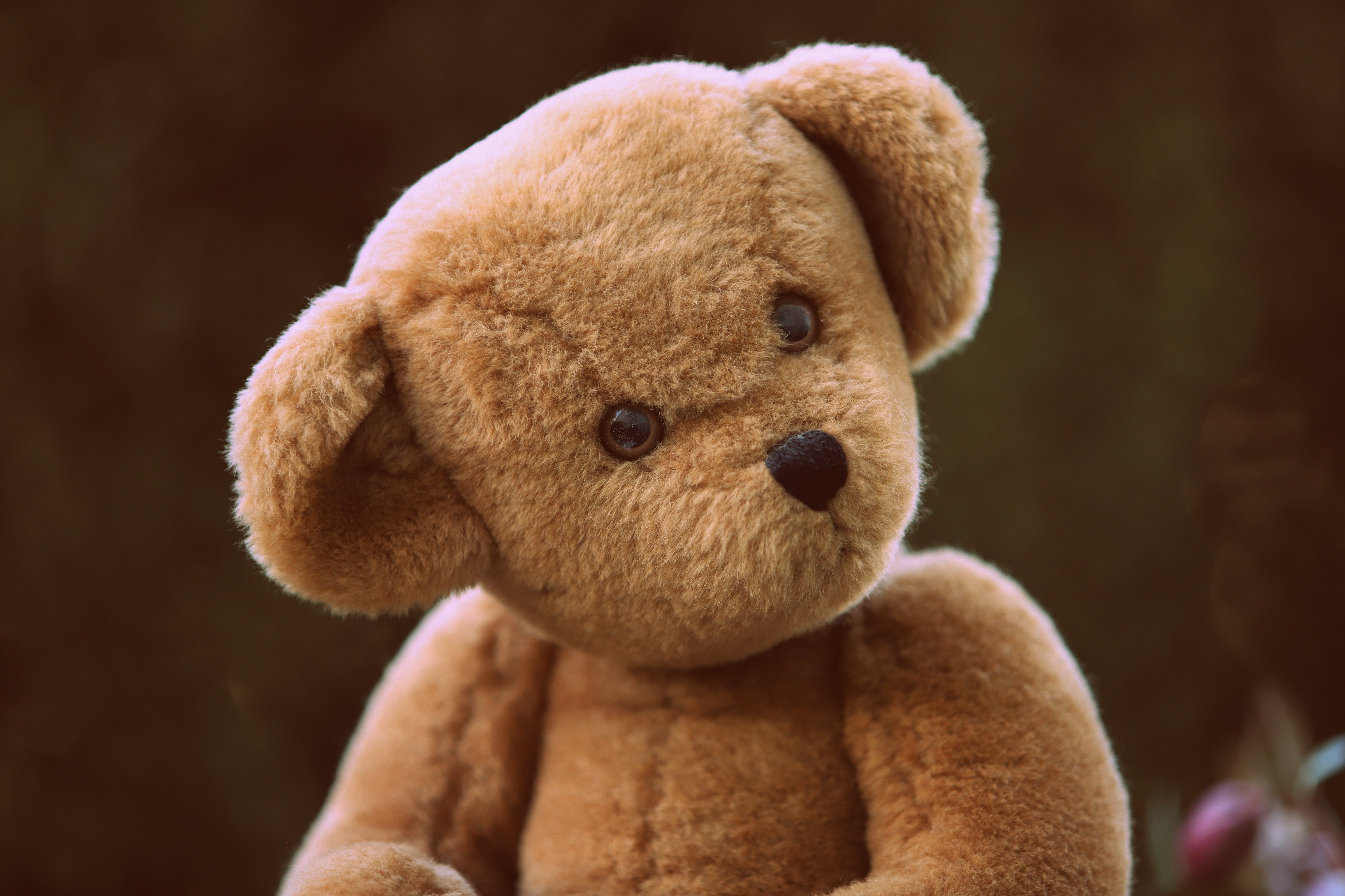 Photo by Sandy Millar from Unsplash