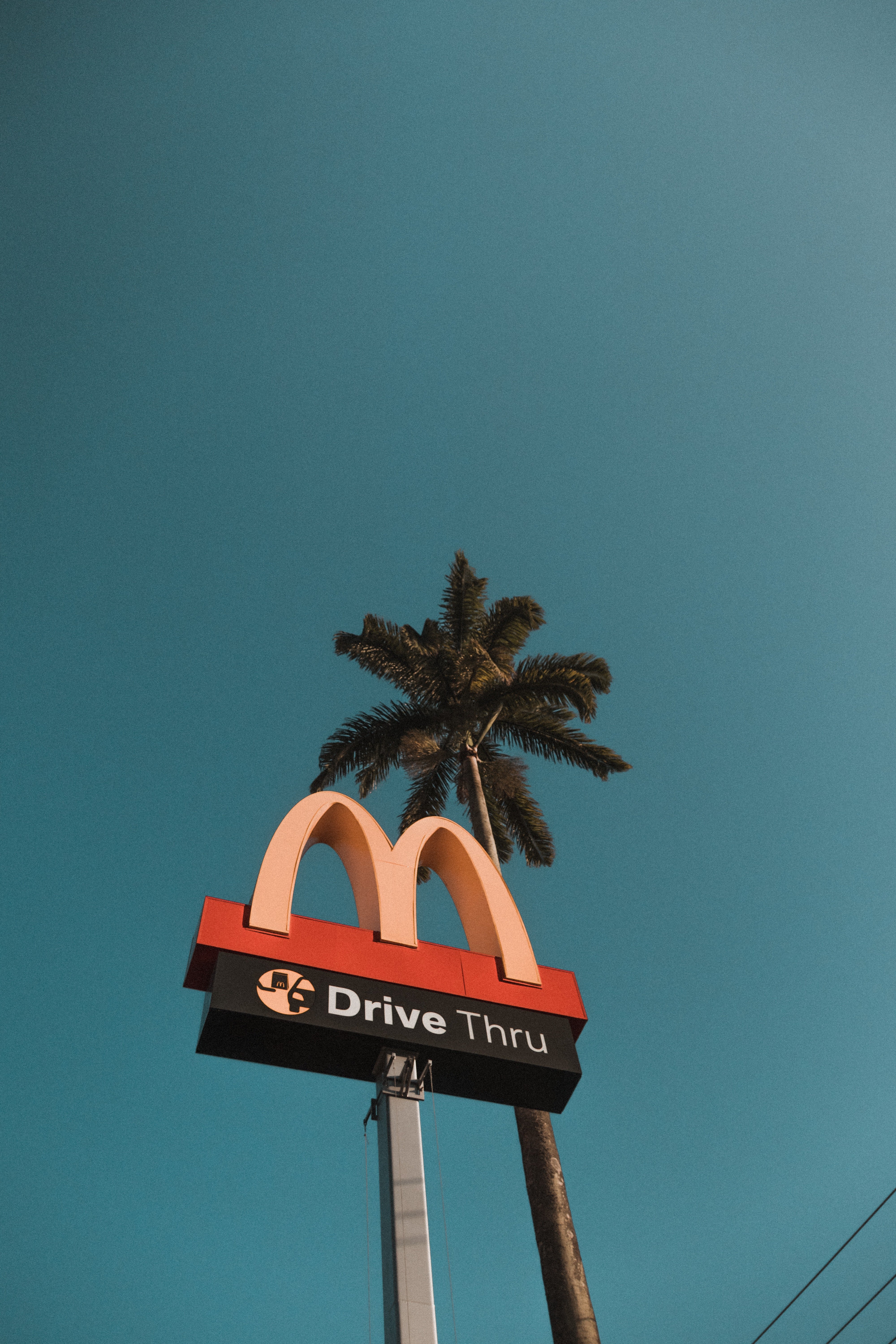 Image Source: pexels Image Source: pexels