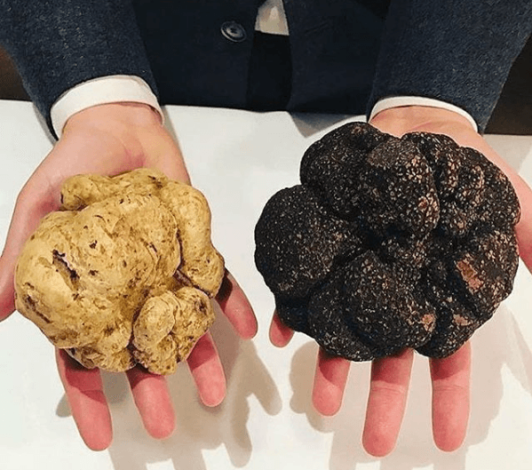 Créditos de imagen: Instagram/michelinguide Créditos de imagen: Instagram/michelinguide