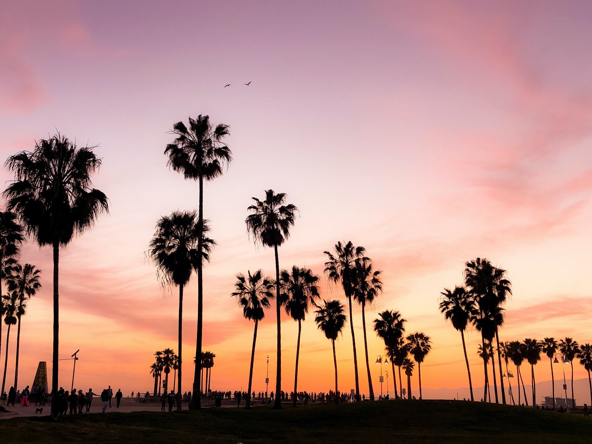 Viviana Rishe / Unsplash Viviana Rishe / Unsplash