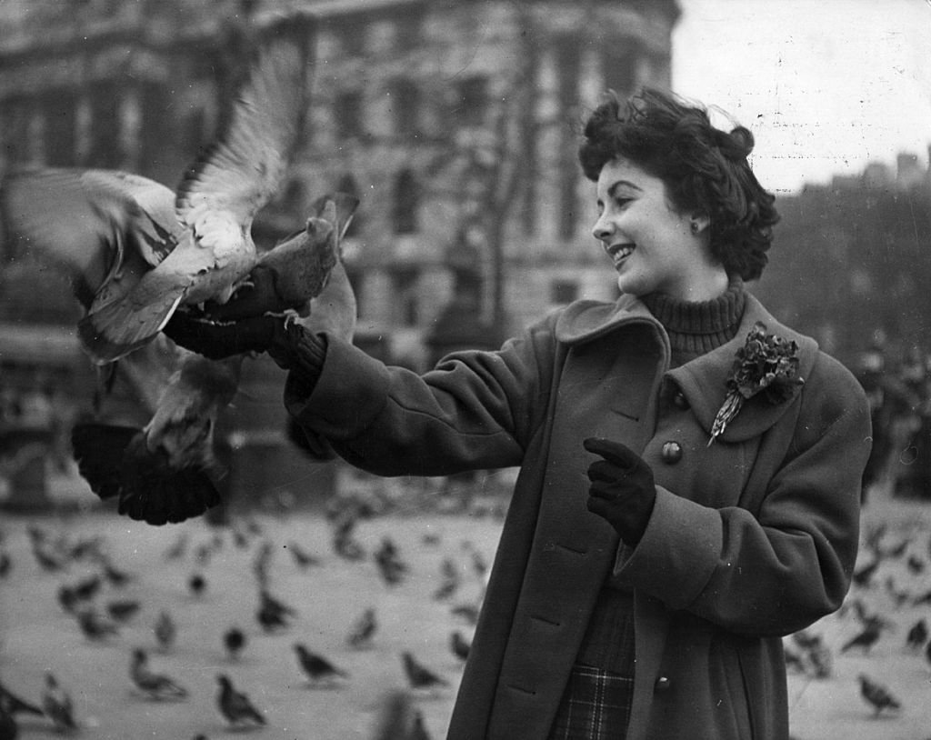 Image Credit: Getty Images / British born leading lady Elizabeth Taylor (1932 - ) feeds the pigeons in Trafalgar Square, London.