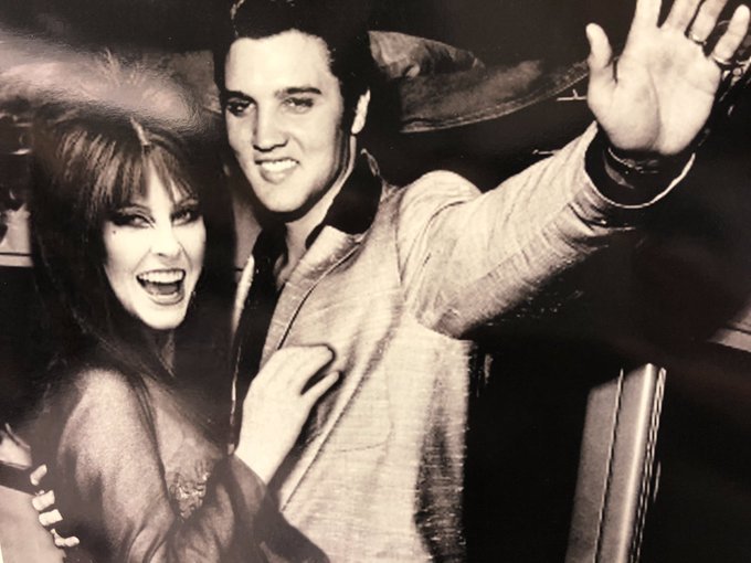 Elvis Presley's Advice Changed Elvira's Career Forever