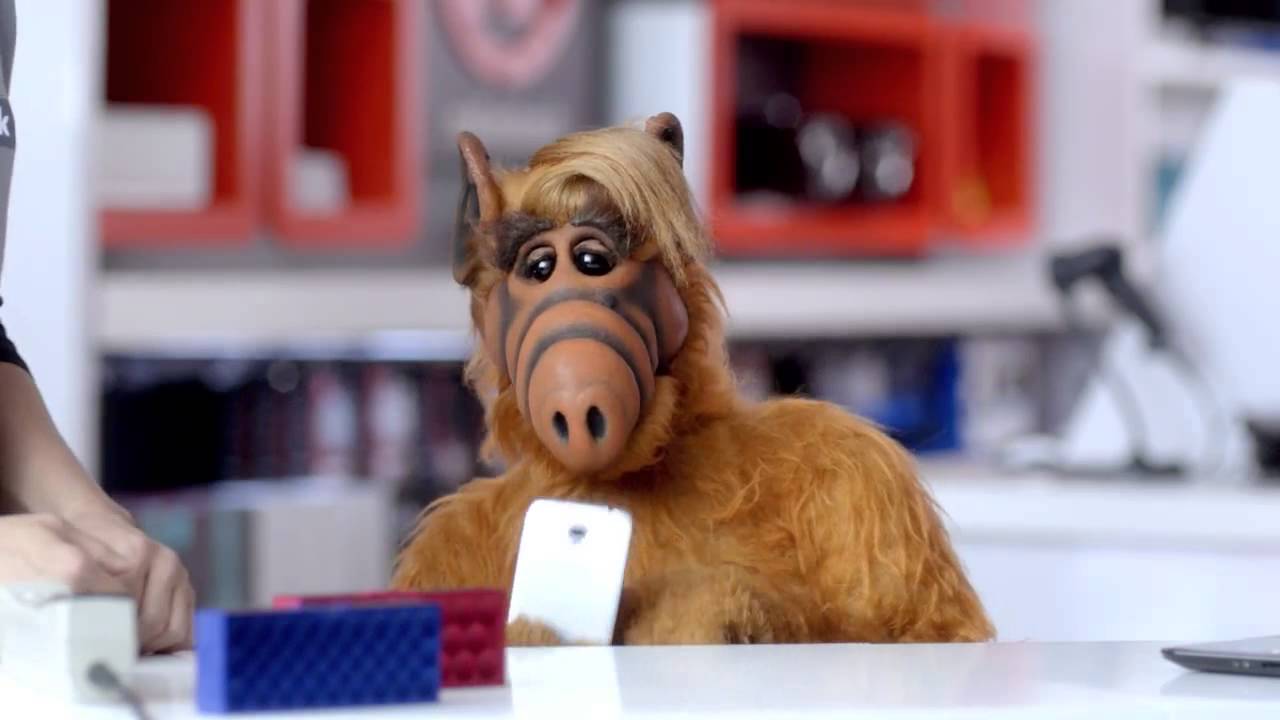 Image Credit: Youtube / ALF TV Site