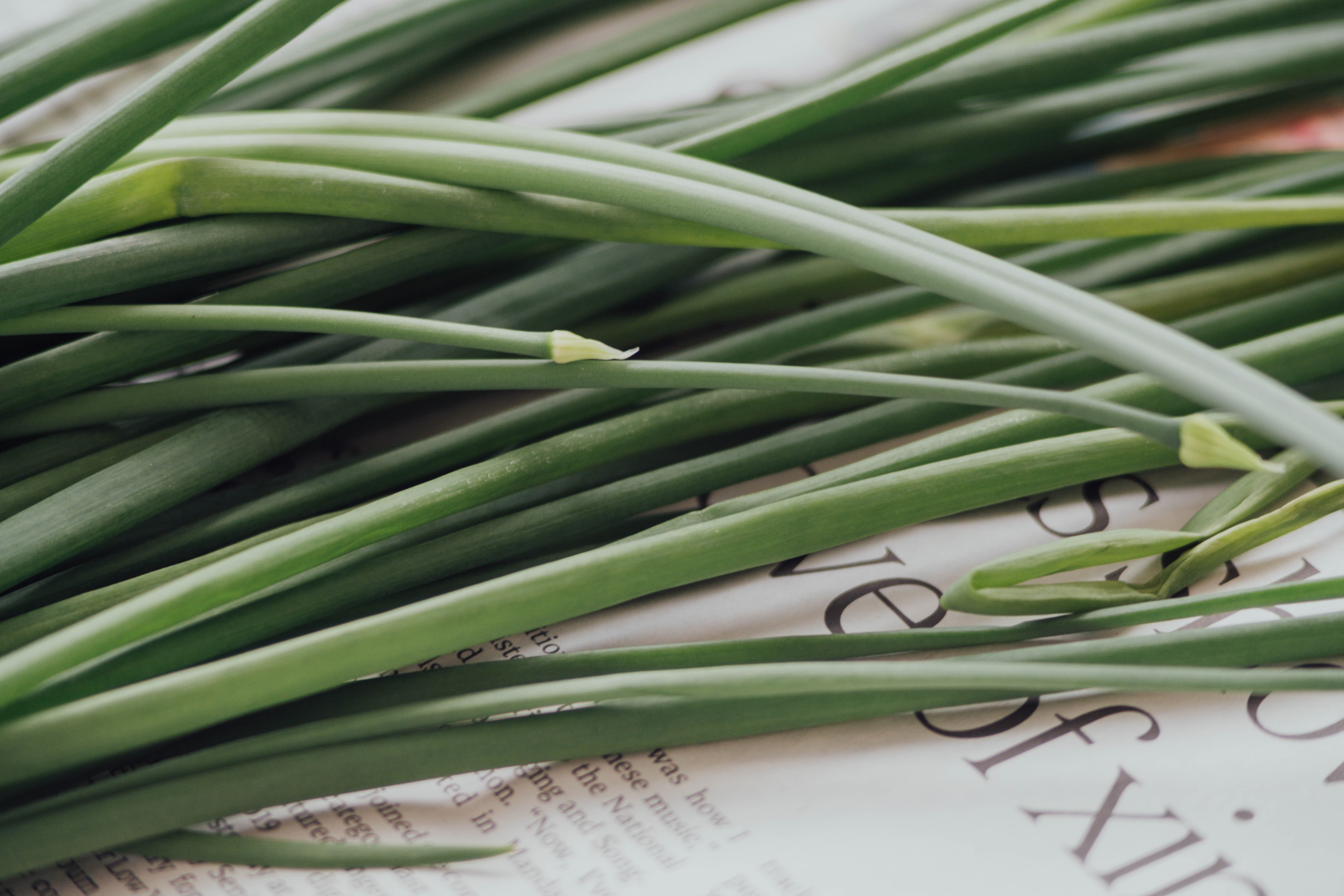 Image Source: Unsplash/chuttersnap