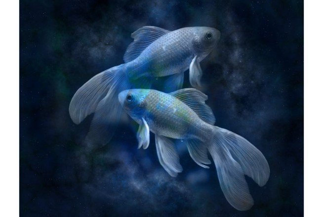 Créditos de imagen: Pixabay Créditos de imagen: Pixabay