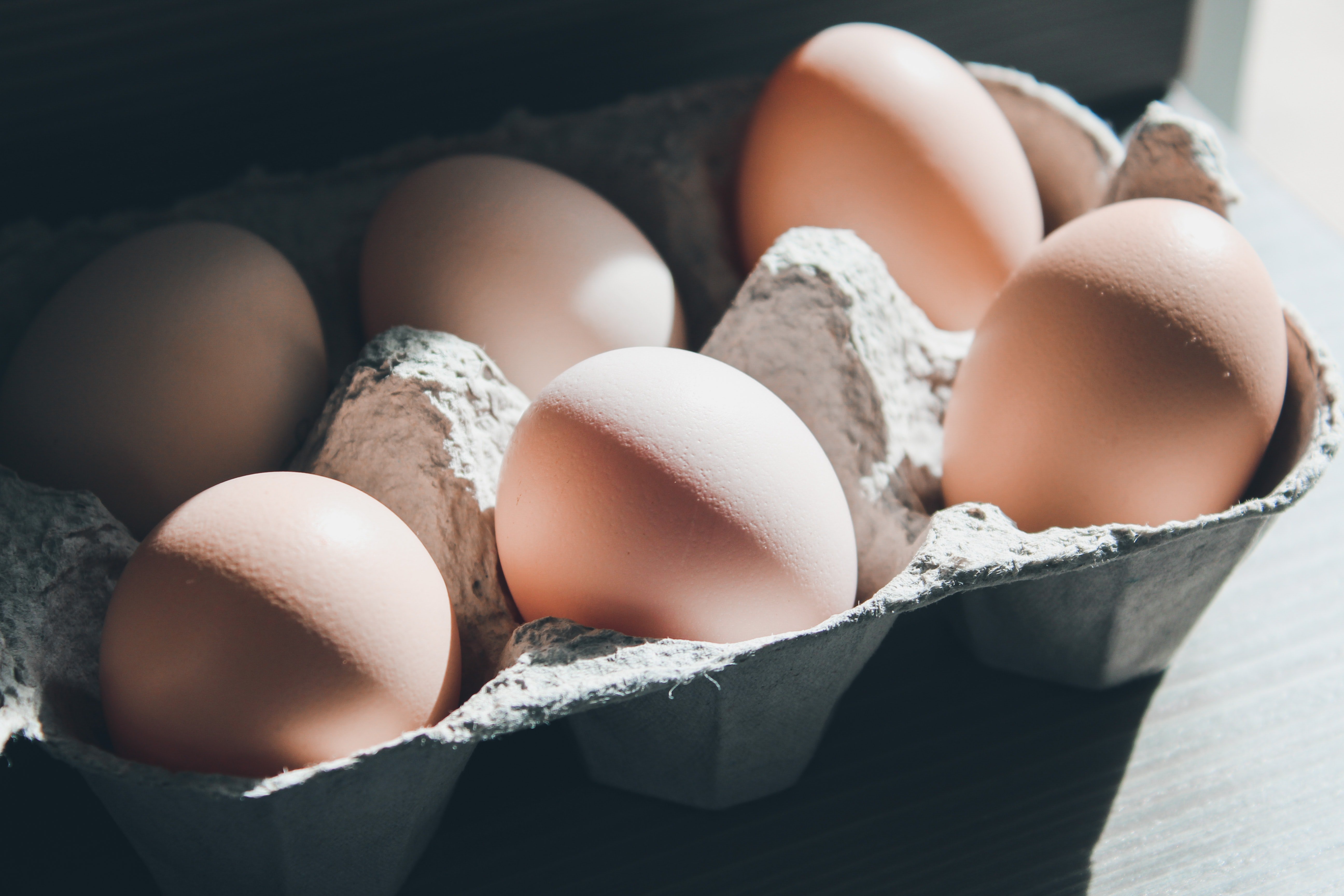 Image Source: Unsplash/Siora Photography