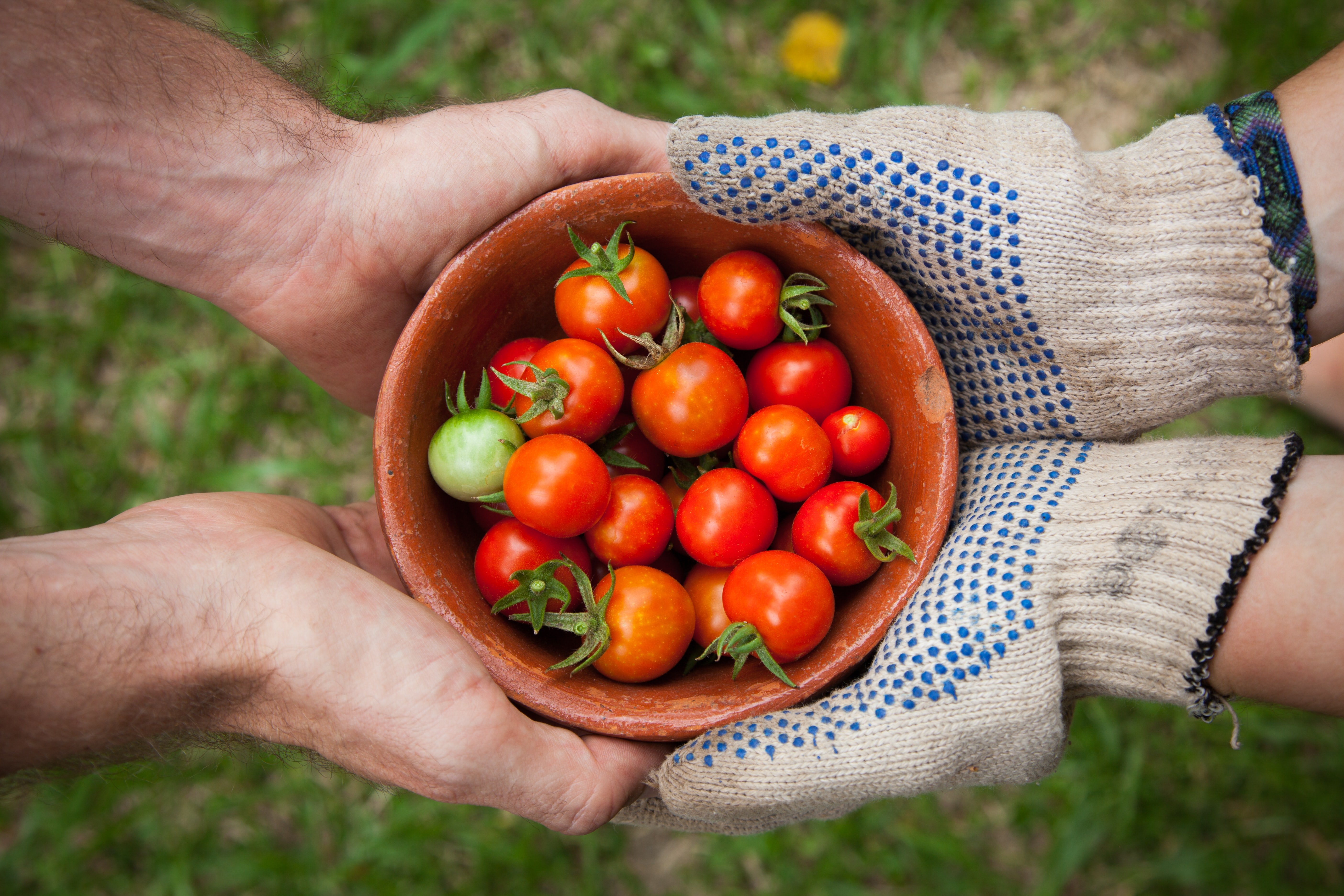 Image Source: Unsplash/Elaine Casap