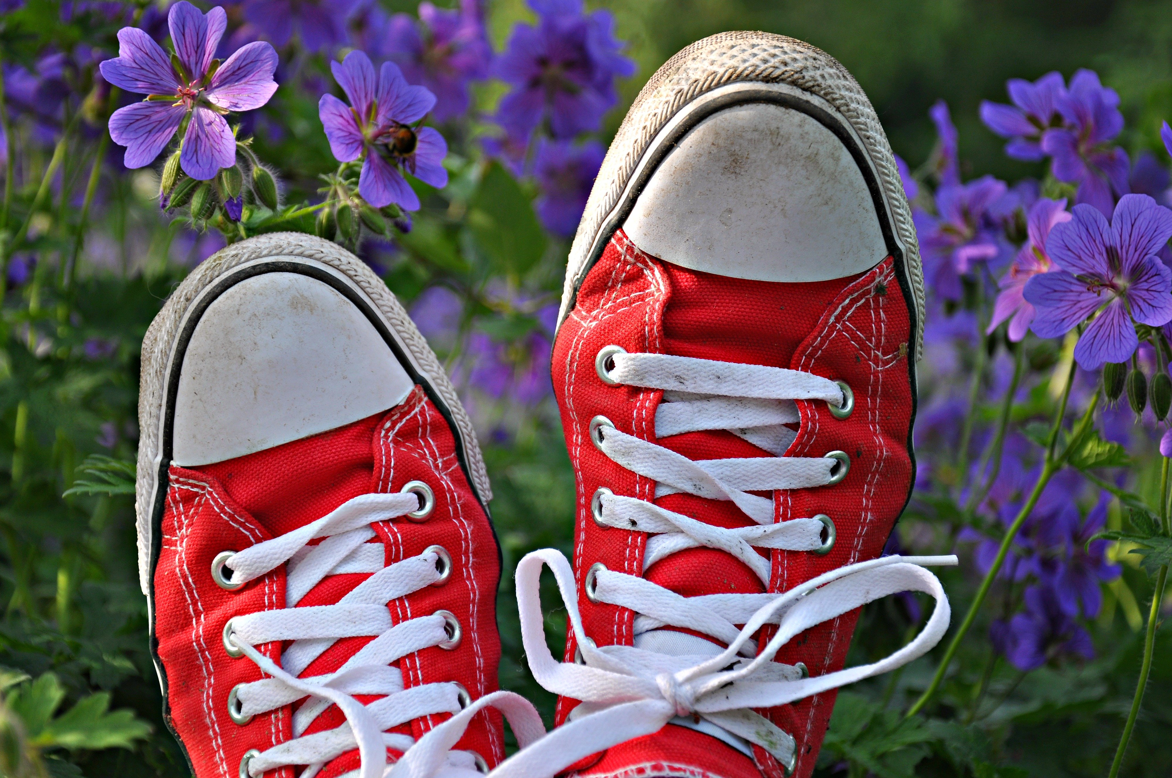 Image Credits: Pexels/Mabel Amber