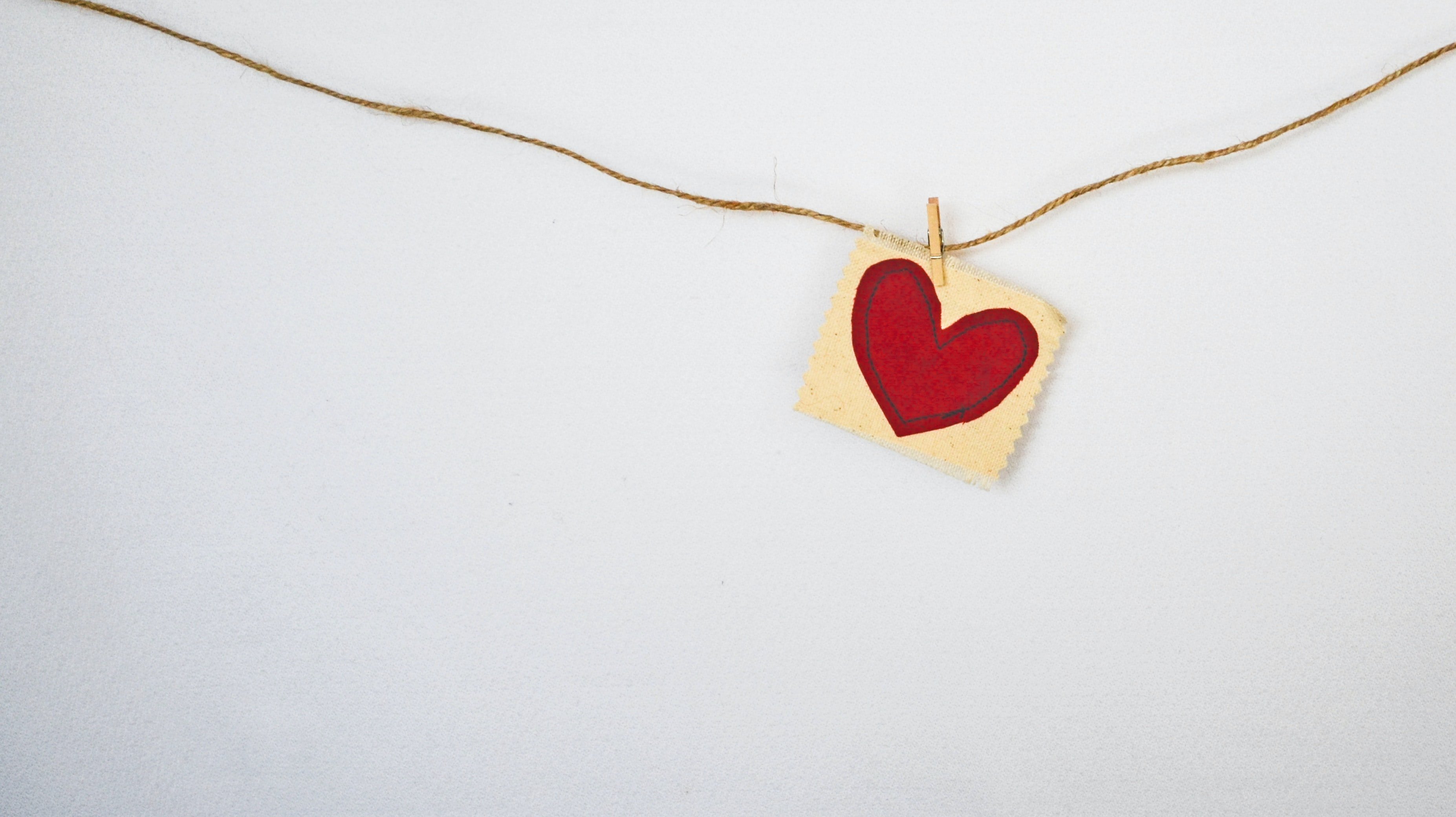 Image Source: Unsplash/Debby Hudson