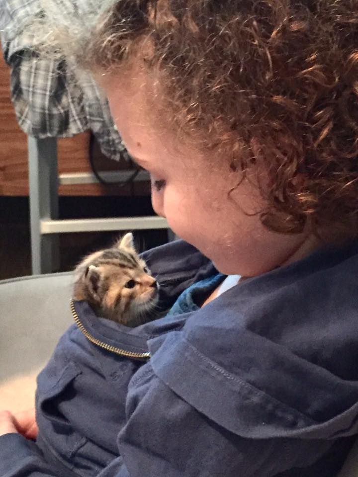 The Sweetest Kids And Animals Photos