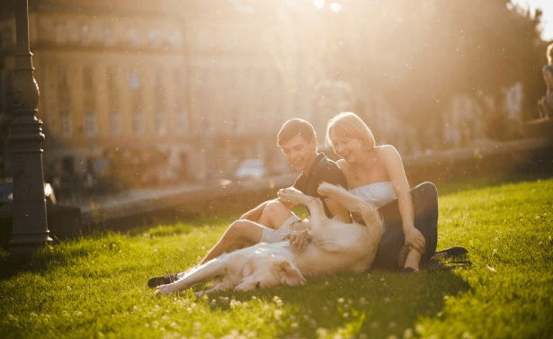 Créditos de imagen: Freepik Créditos de imagen: Freepik
