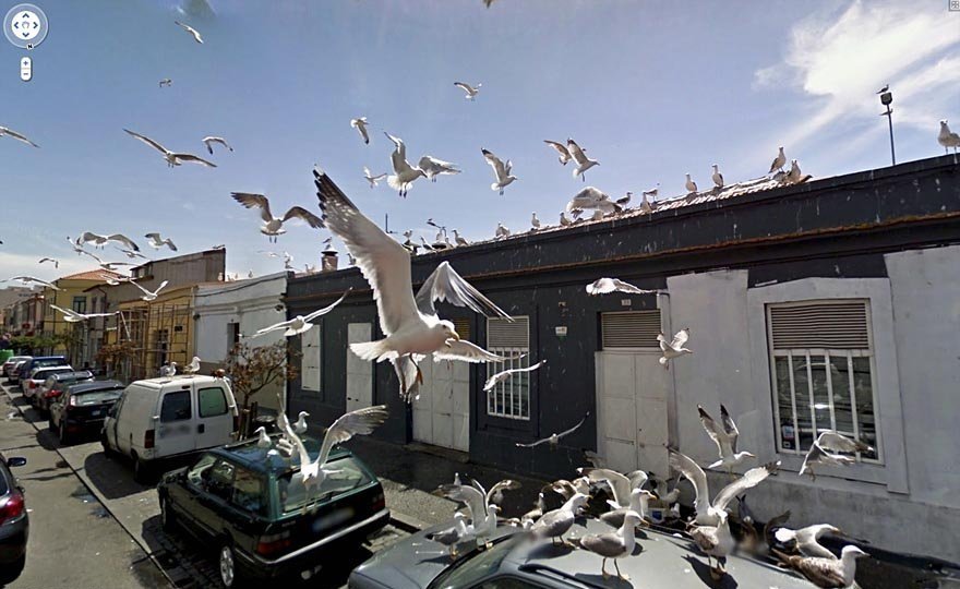 Image Credits: Google Maps/Street View Image Credits: Google Maps/Street View