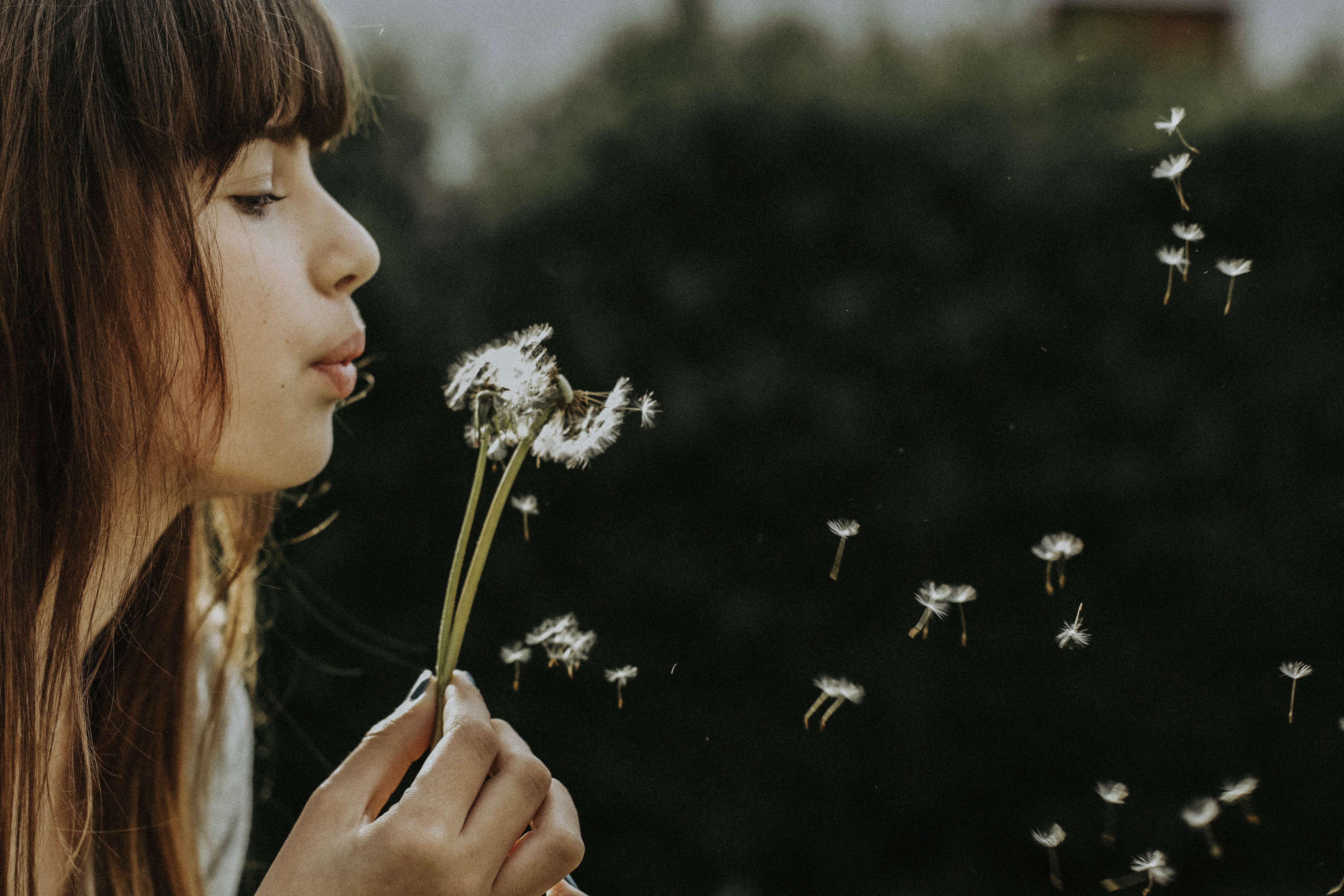 Image Source: Unsplash/Nine Köpfer