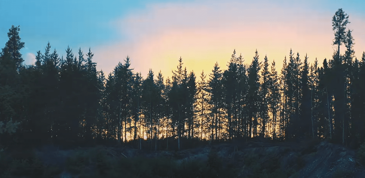 Image source: YouTube/Bear Hunting Magazine Image source: YouTube/Bear Hunting Magazine