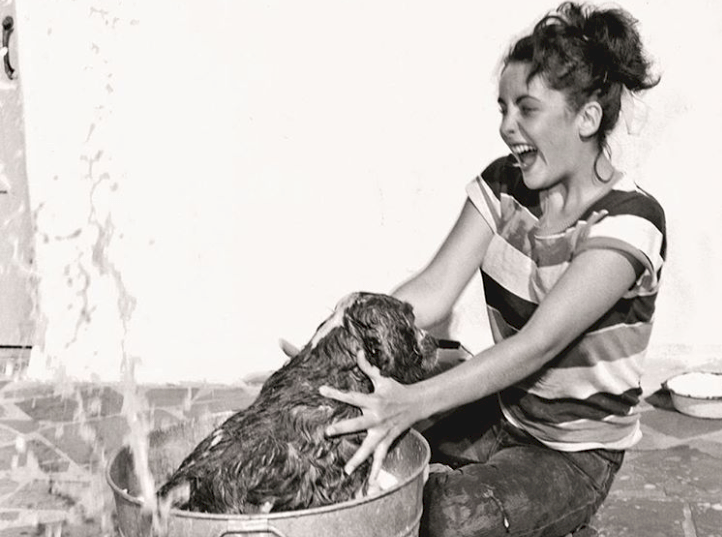 Créditos de imagen: Instagram/elizabethtaylor Créditos de imagen: Instagram/elizabethtaylor