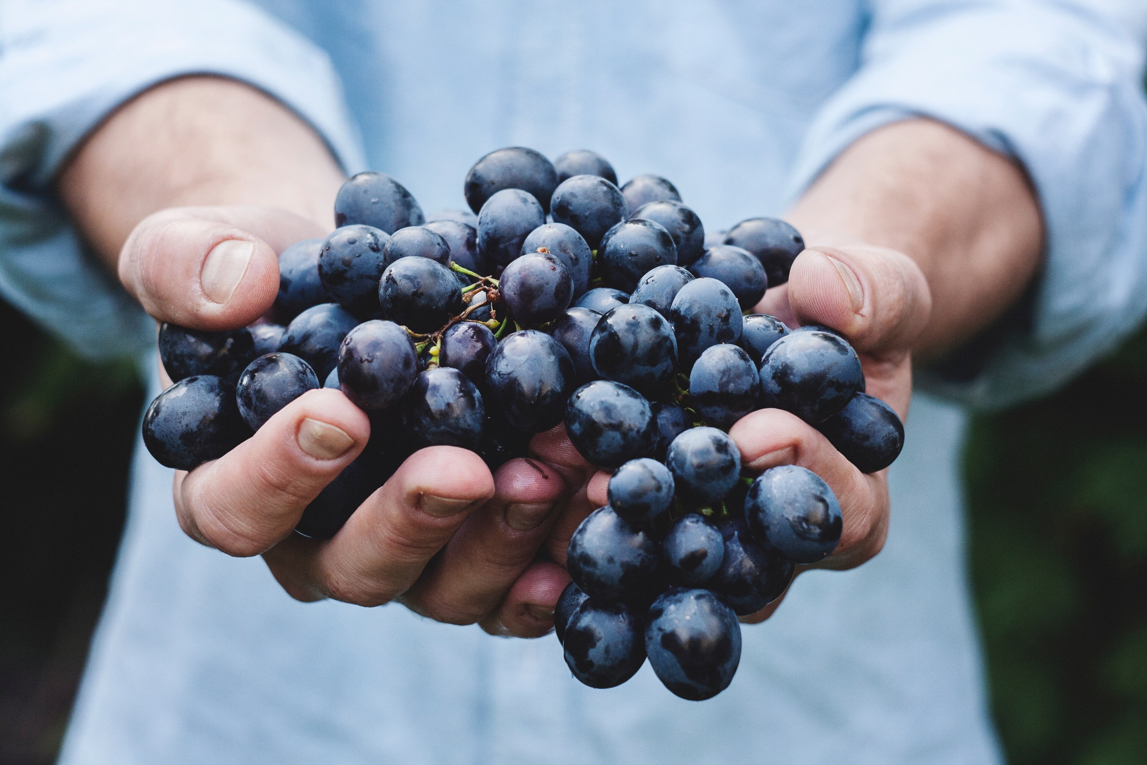 Photo by Maja Petric on Unsplash