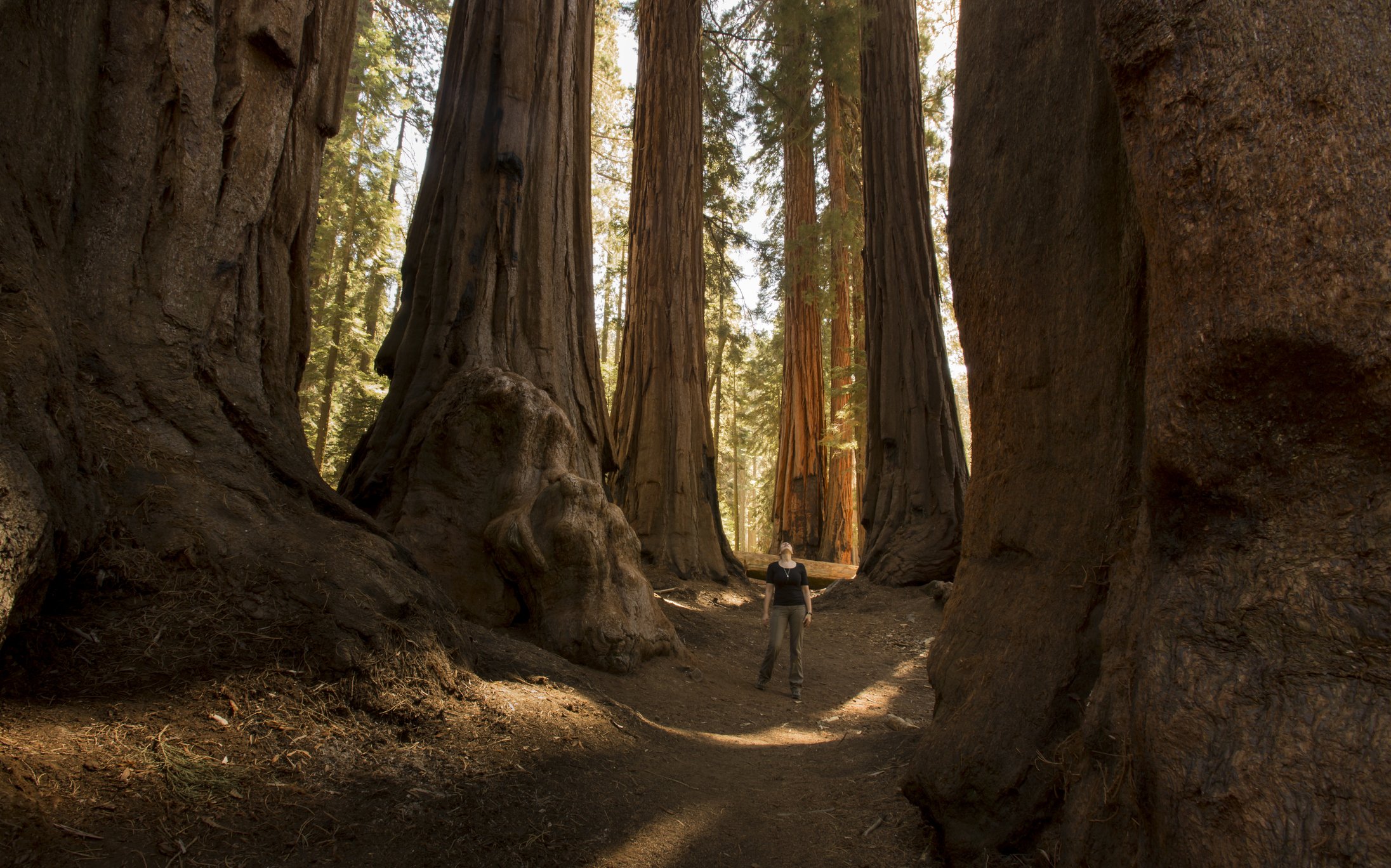 Image Credit: Getty Images Image Credit: Getty Images