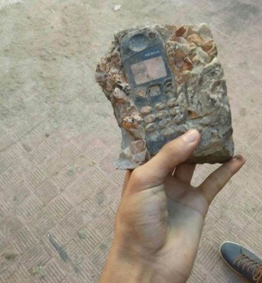 Crédito de imagen: Reddit/cooltonsnook Crédito de imagen: Reddit/cooltonsnook