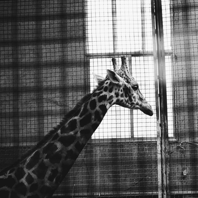 Image Credit: Unsplash Image Credit: Unsplash