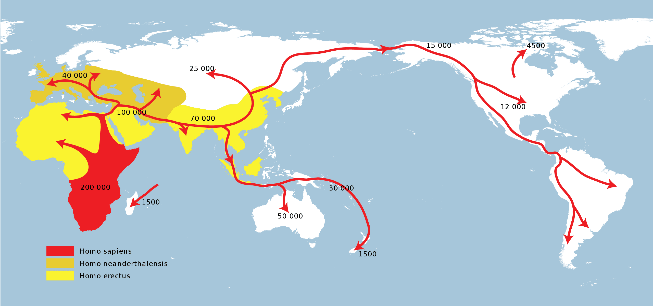 where-do-humans-come-from