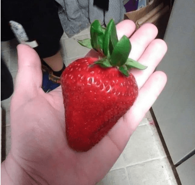Créditos imagen: Reddit/mildlyinteresting Créditos imagen: Reddit/mildlyinteresting