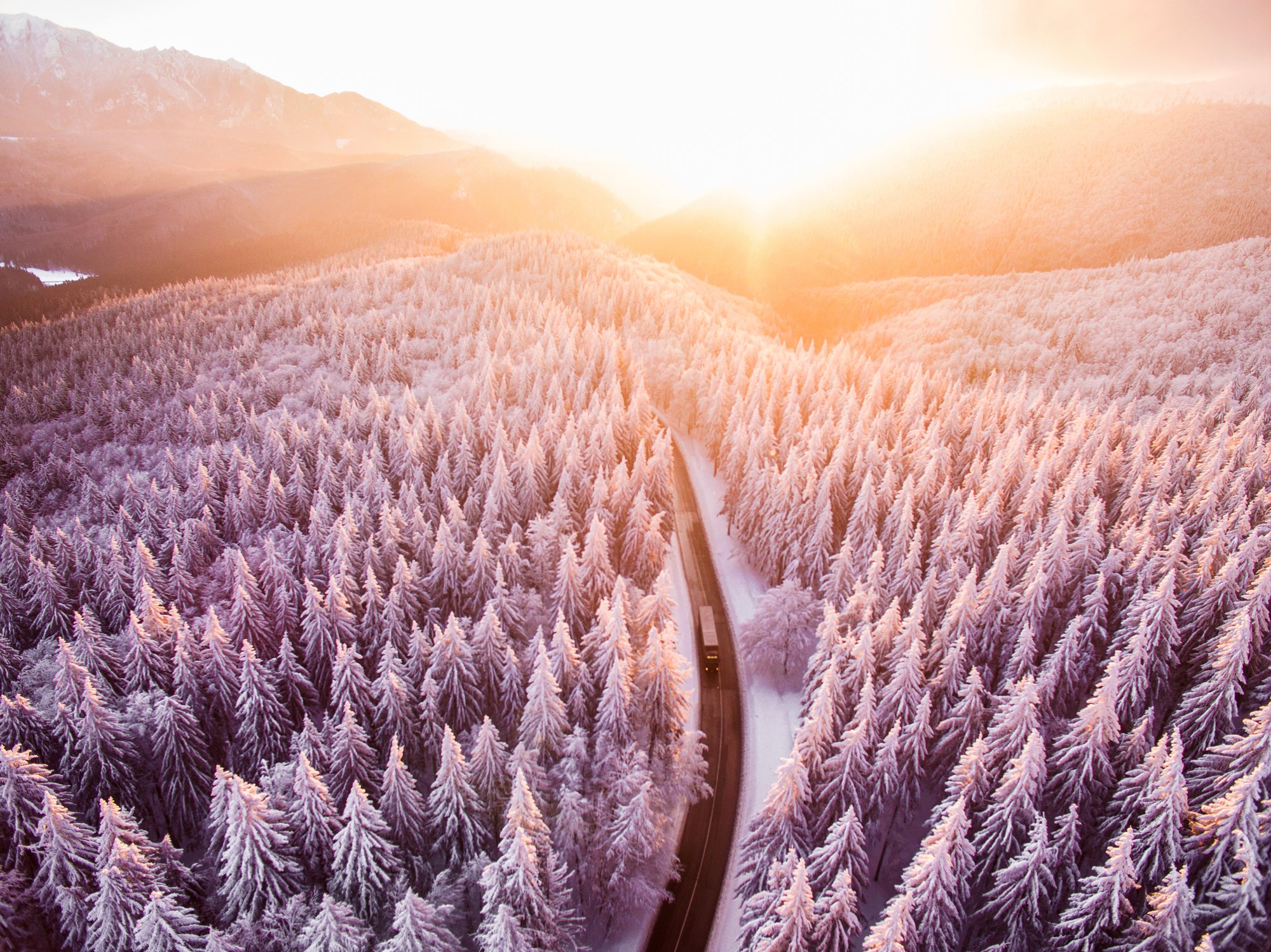 Image Credit: Getty Images Image Credit: Getty Images