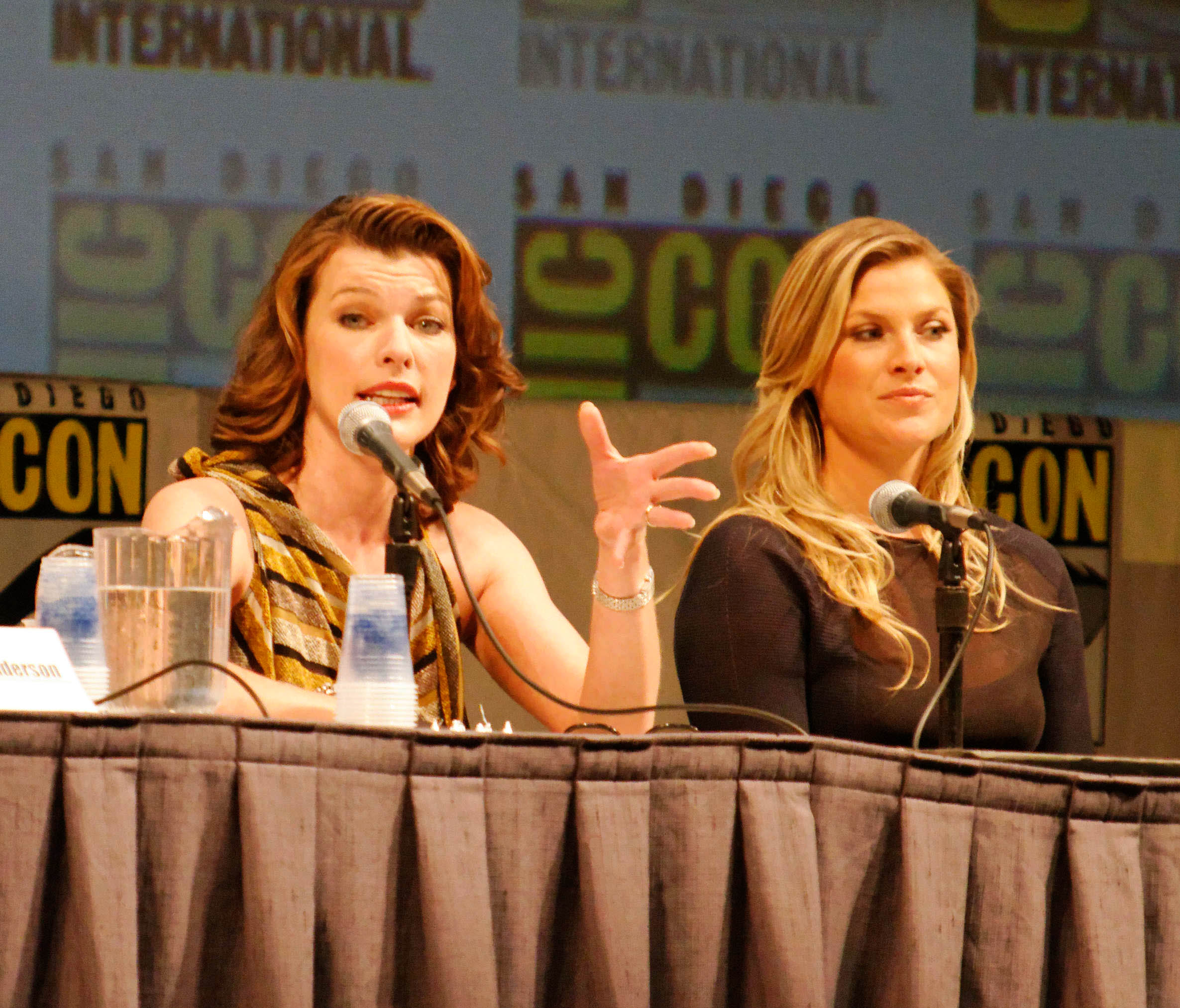Image Credit: Ronald Woan, Ali Larter and Milla Jovovich at Comic Con 2010, CC BY-SA 2.0