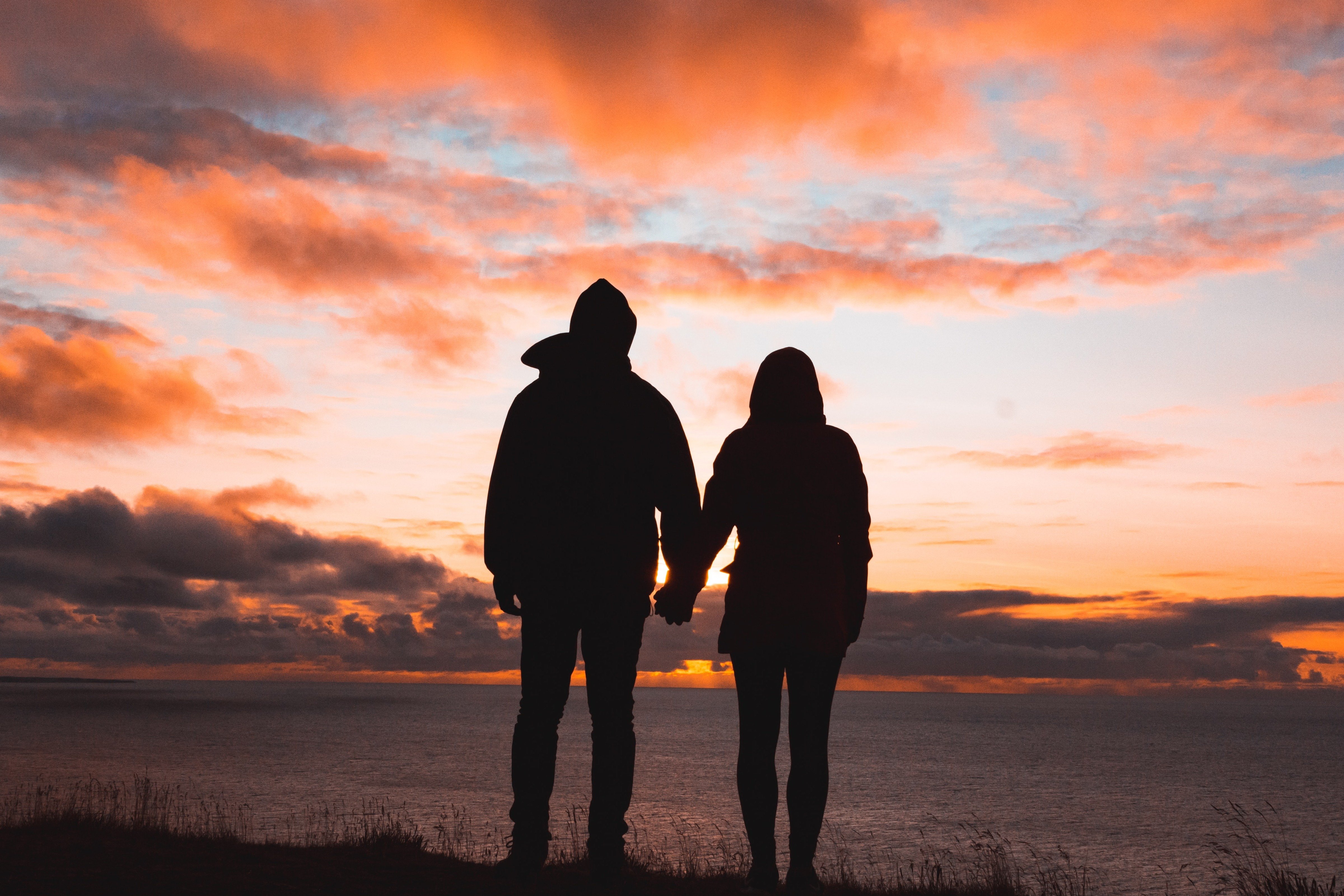 Image Credit: Unsplash/Alex Iby Image Credit: Unsplash/Alex Iby