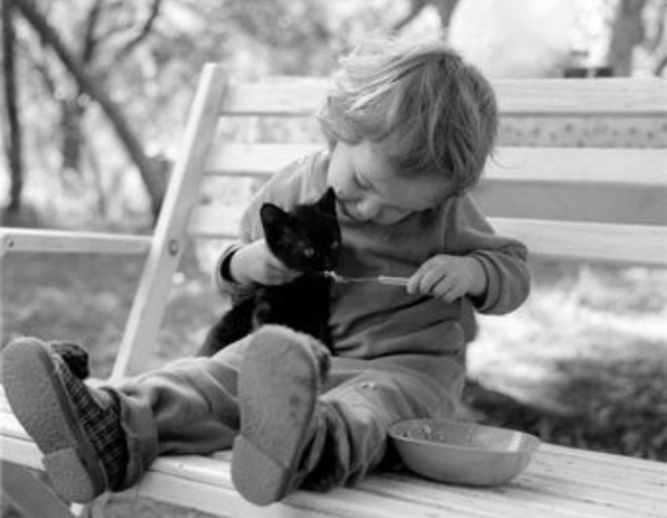Créditos de imagen: Pinterest/Nicole Grethen Créditos de imagen: Pinterest/Nicole Grethen