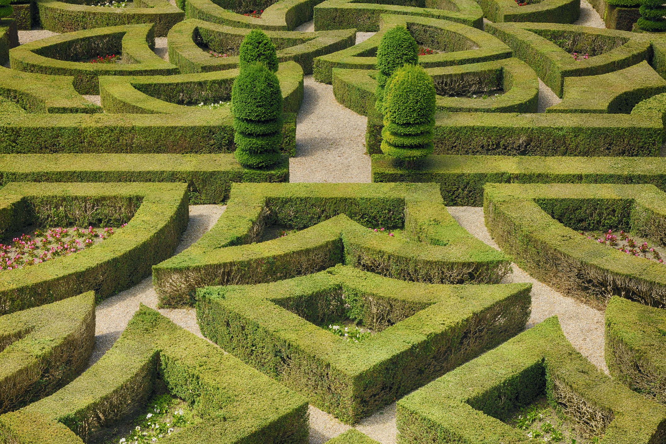 Image Credit: Getty Images Image Credit: Getty Images
