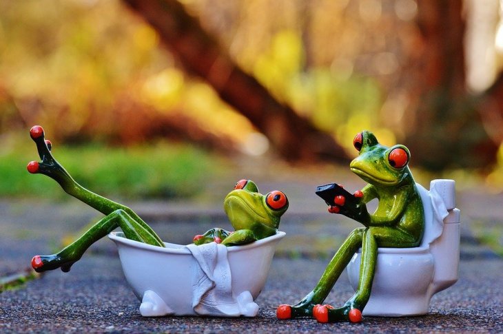 Crédito de imagen: Pixabay Crédito de imagen: Pixabay