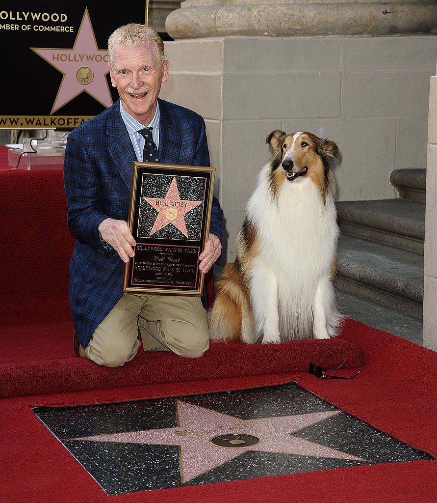 Image Credit: Getty Images