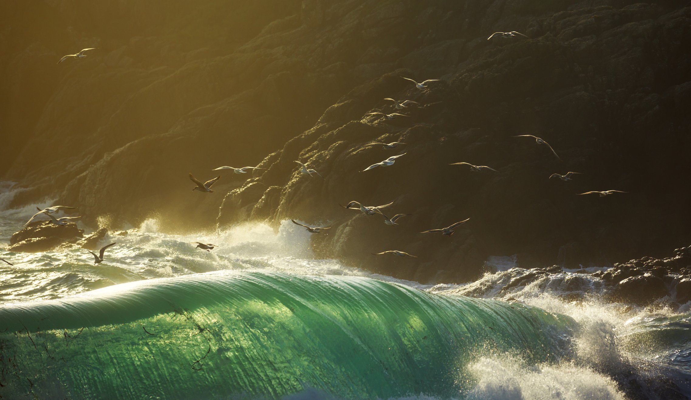 Image Credit: Getty Images Image Credit: Getty Images