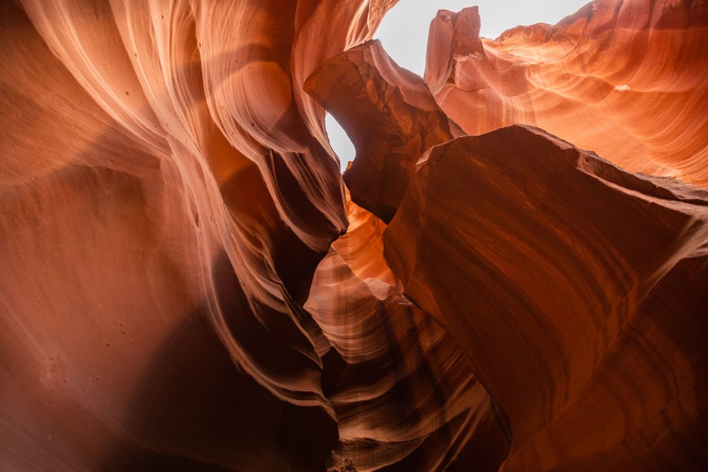 Image Credit: Getty Images Image Credit: Getty Images