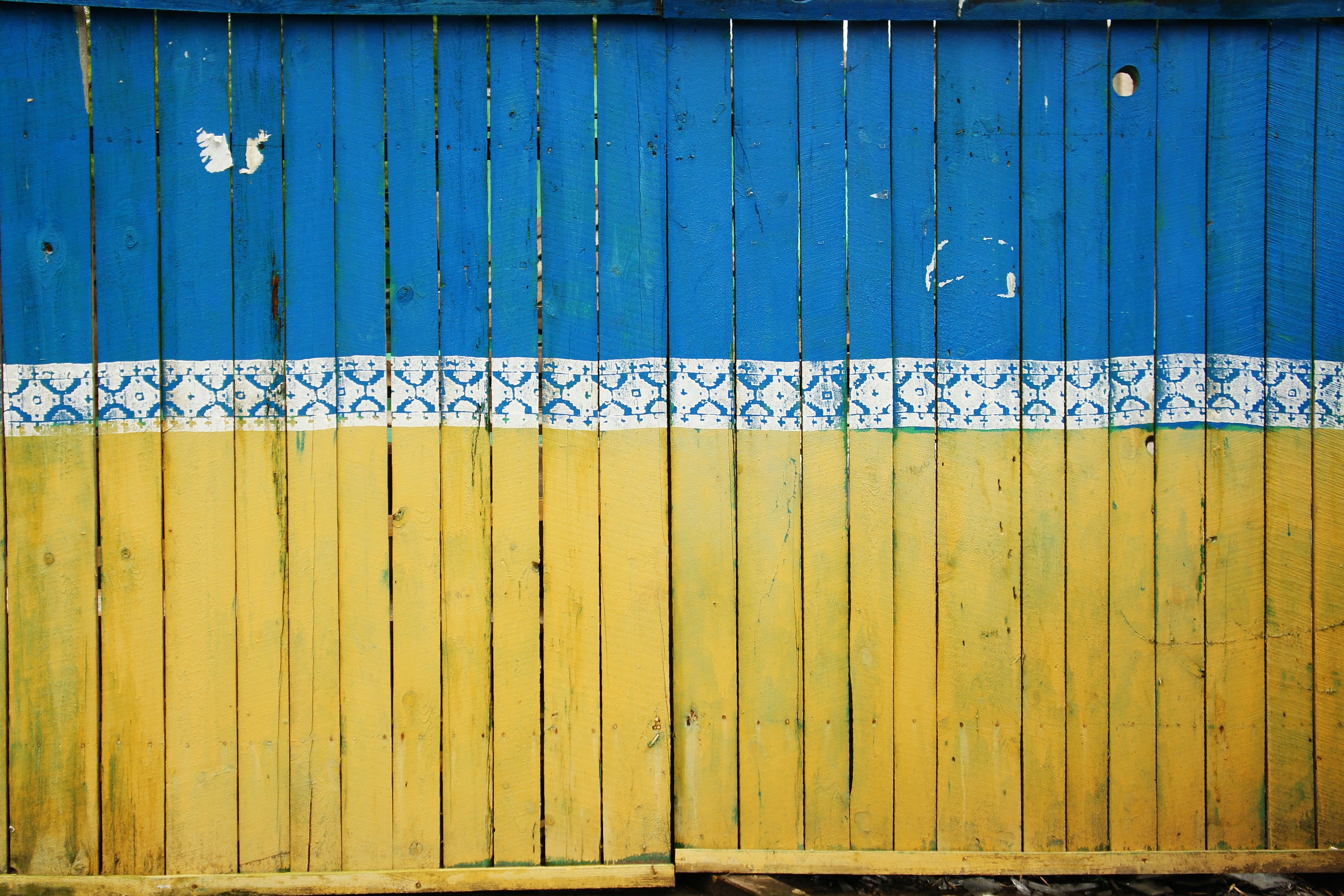 Image Source: Unsplash/Tina Hartung