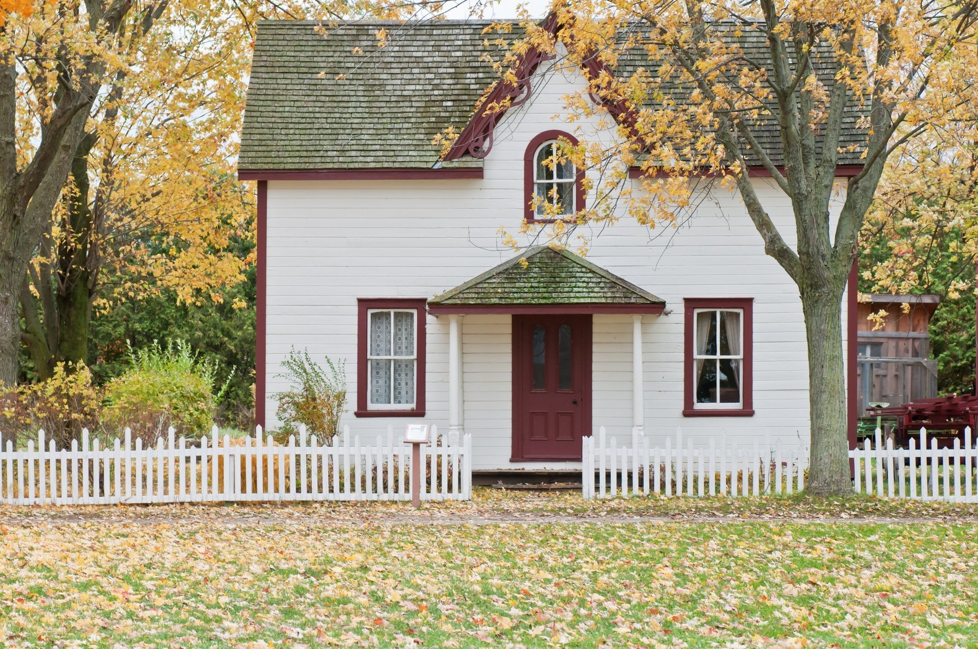Image credits: Pexels Image credits: Pexels