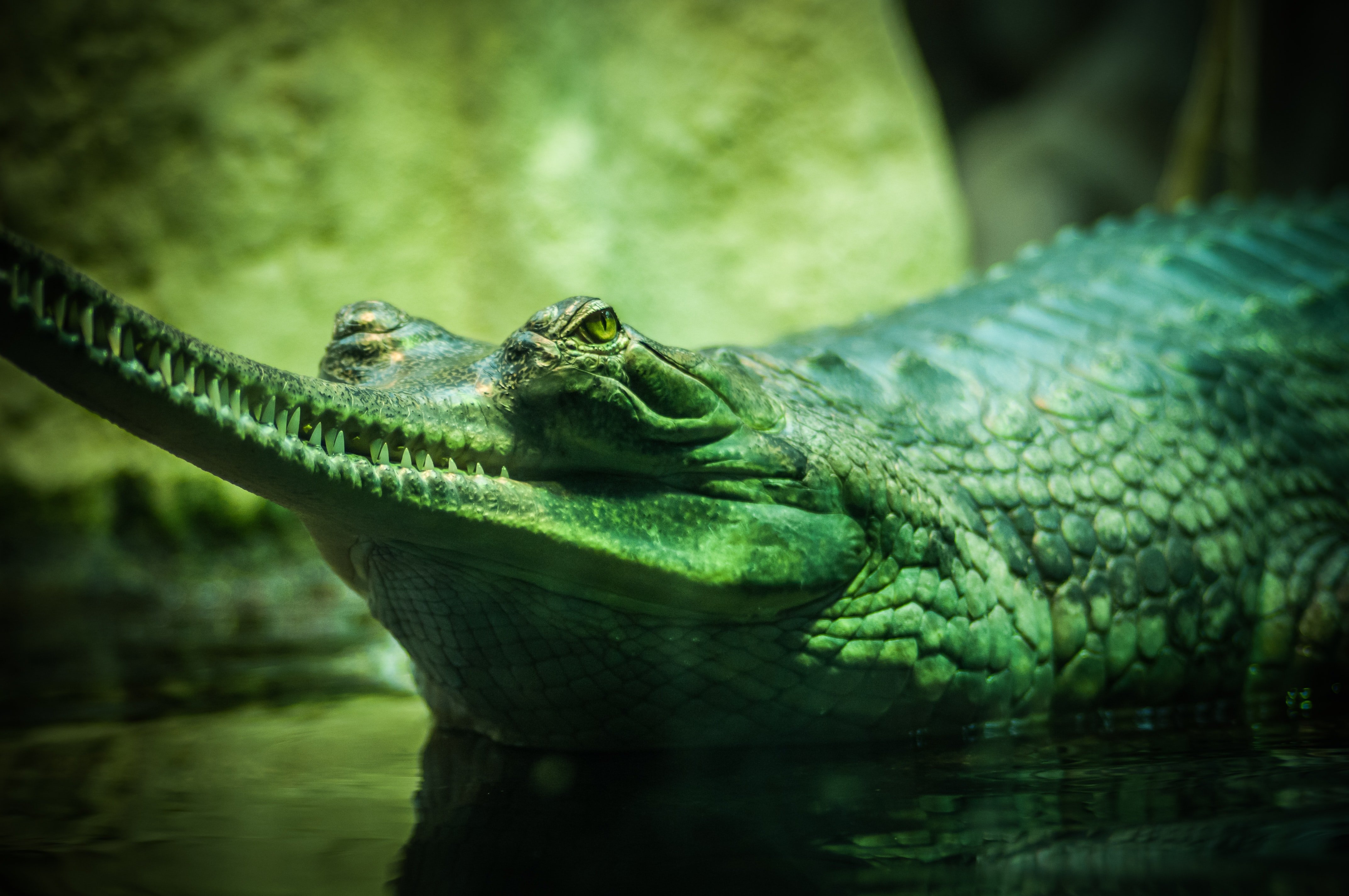 Image Source: Unsplash/Tomáš Lištiak