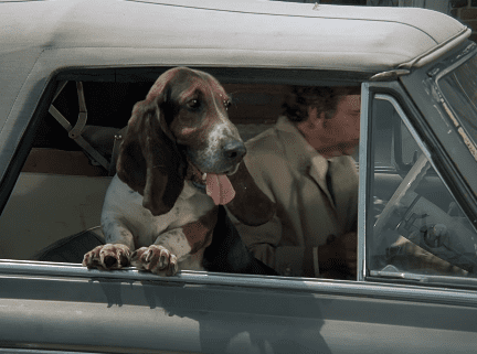 Image Credit: YouTube / Columbo Image Credit: YouTube / Columbo