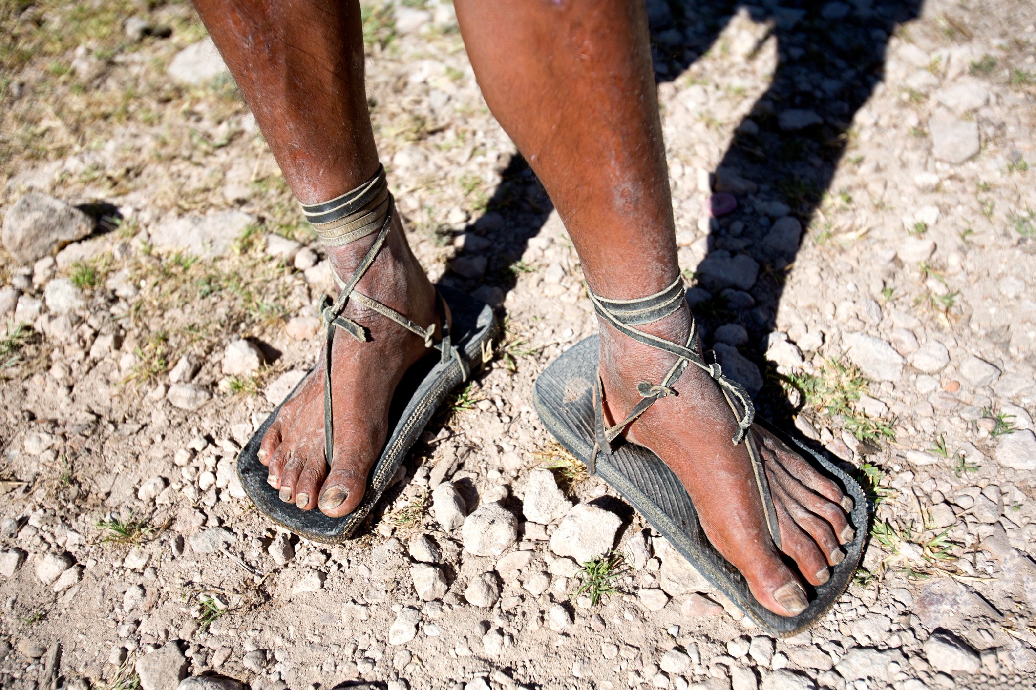 Image Credit: Getty Images Image Credit: Getty Images