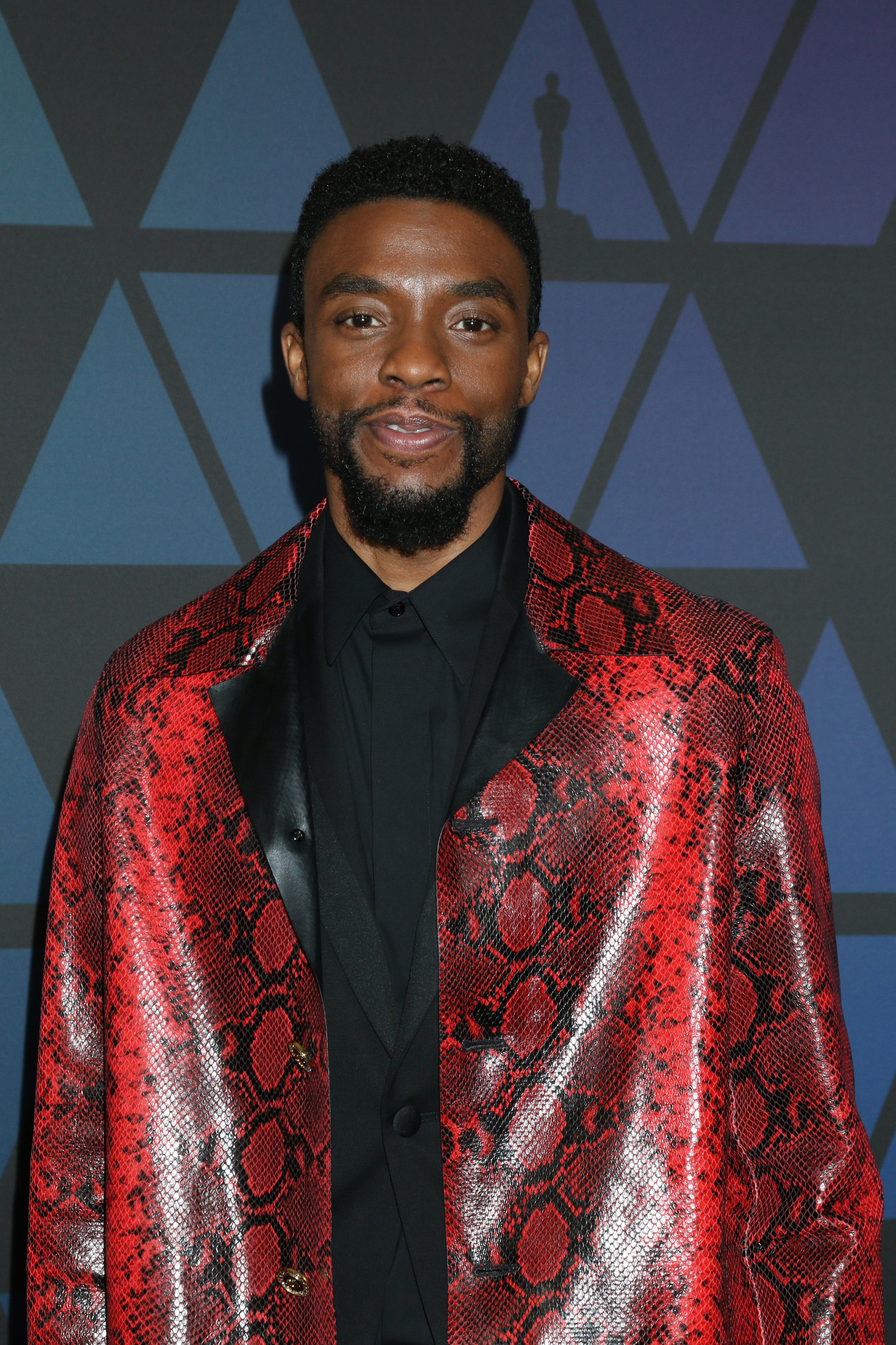 Image Credits: Shutterstock / Kathy Hutchins | Chadwick Boseman at the 10th Annual Governors Awards at the Ray Dolby Ballroom on November 18, 2018 in Los Angeles, CA. Image Credits: Shutterstock / Kathy Hutchins | Chadwick Boseman at the 10th Annual Governors Awards at the Ray Dolby Ballroom on November 18, 2018 in Los Angeles, CA.