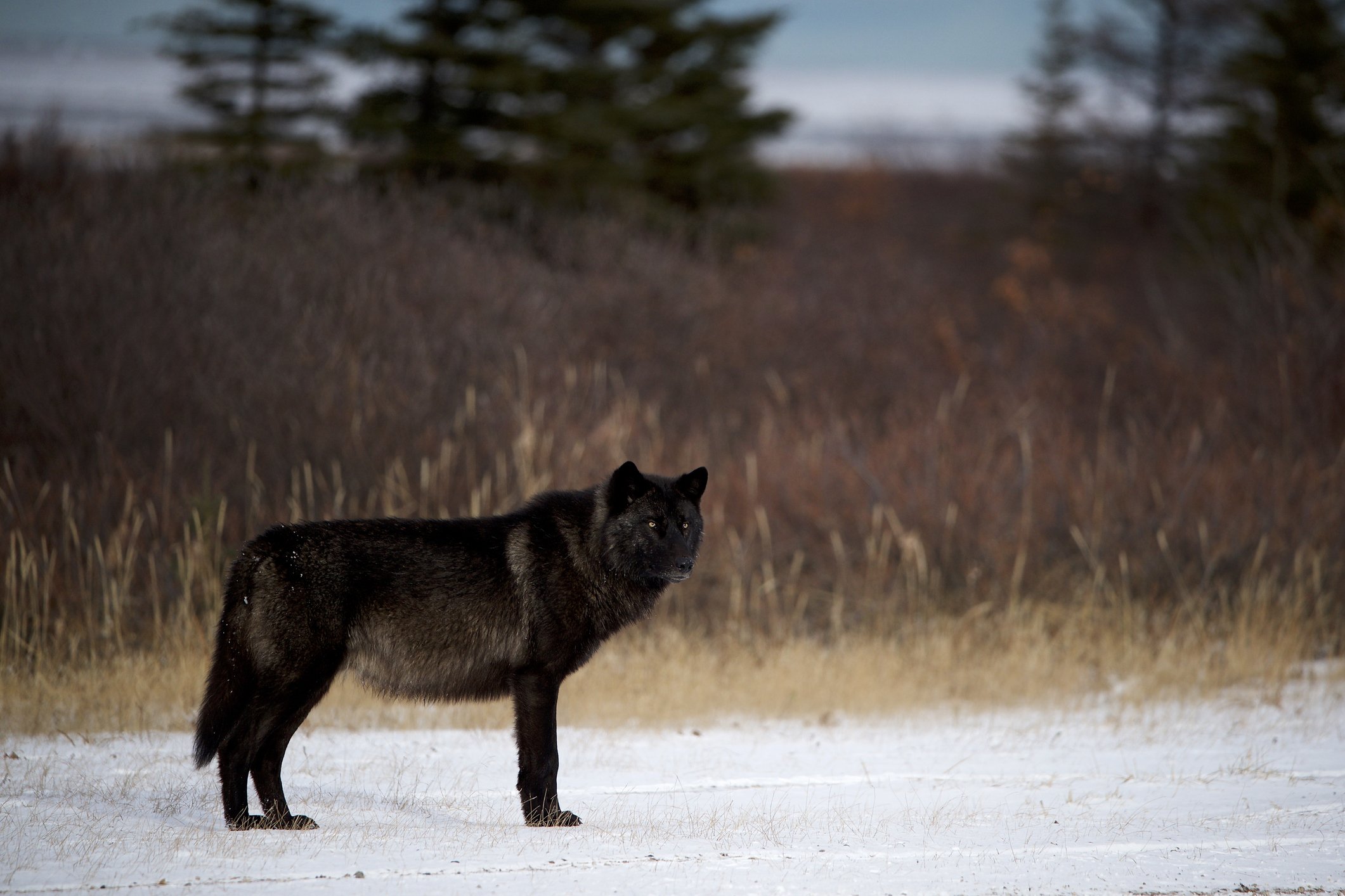 Image Credits: Getty Images/Andy Skillen Photography/For Illustrative Purposes Image Credits: Getty Images/Andy Skillen Photography/For Illustrative Purposes