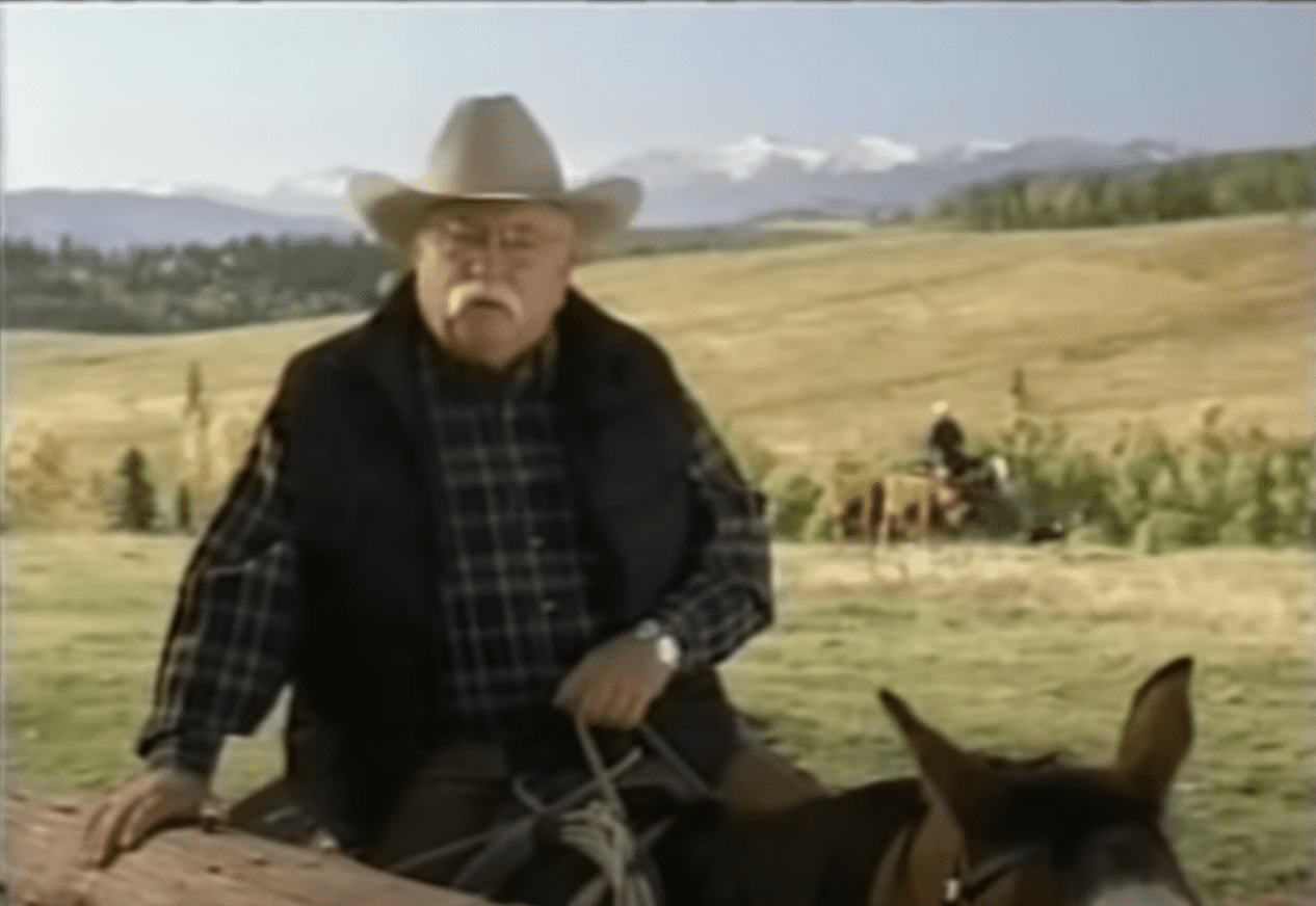 Image Source: Youtube/TheClassicSports/ Wilford's TV commercial from January 2002 Image Source: Youtube/TheClassicSports/ Wilford's TV commercial from January 2002