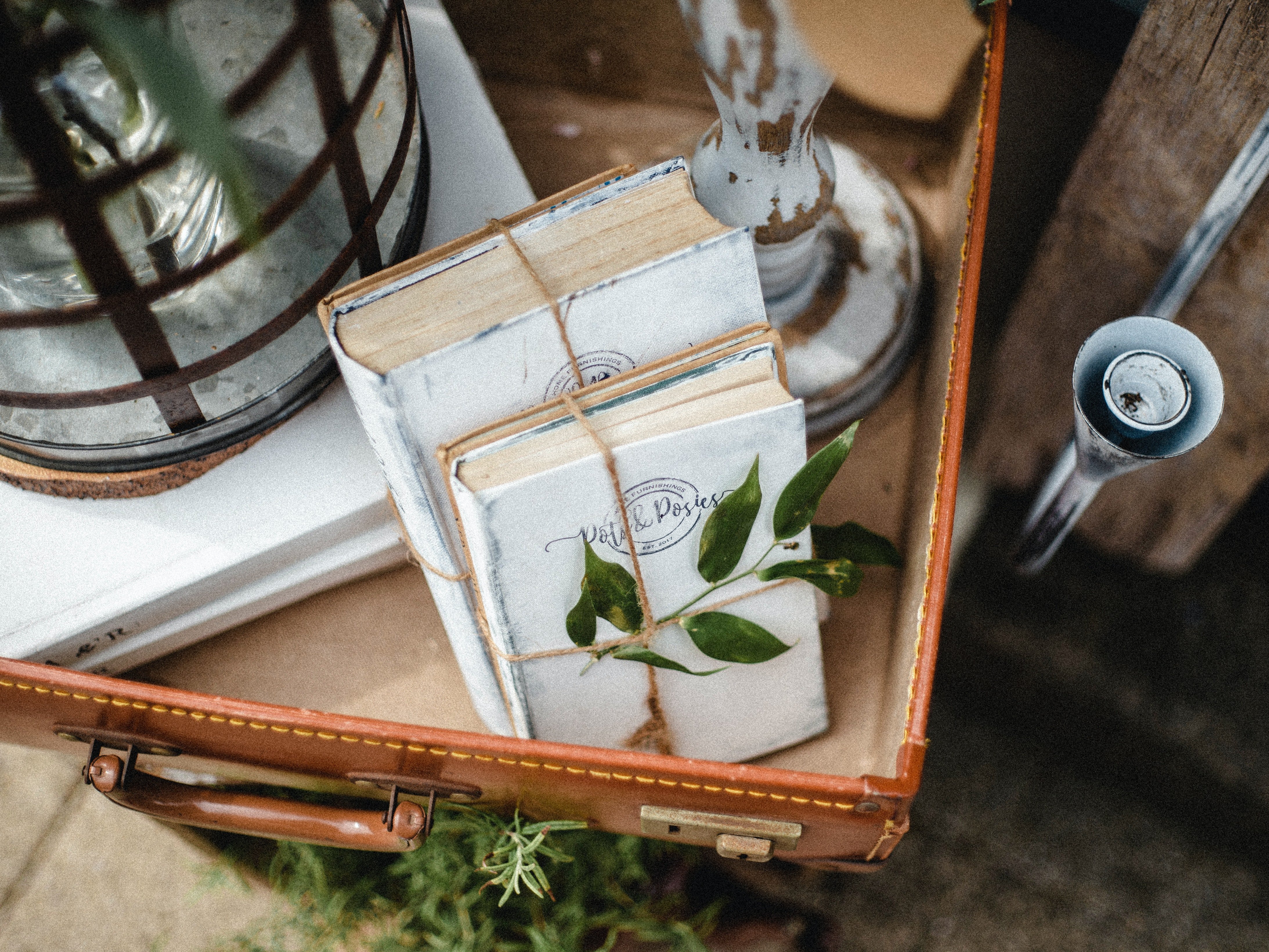 Image Credit: Pexels / Flora Westbrook