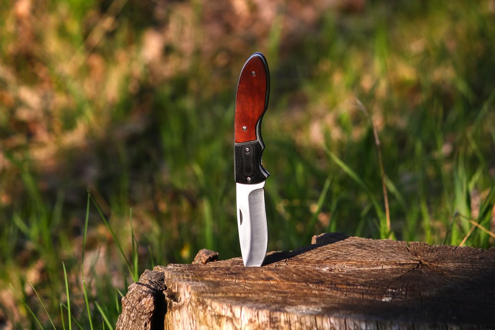 Knife wedged in a tree stump | Shutterstock