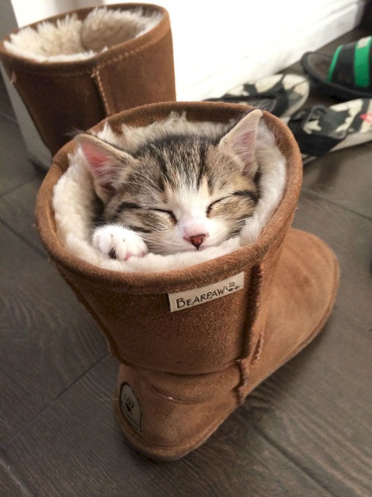 Créditos de imagen: Reddit/YessMartinez Créditos de imagen: Reddit/YessMartinez