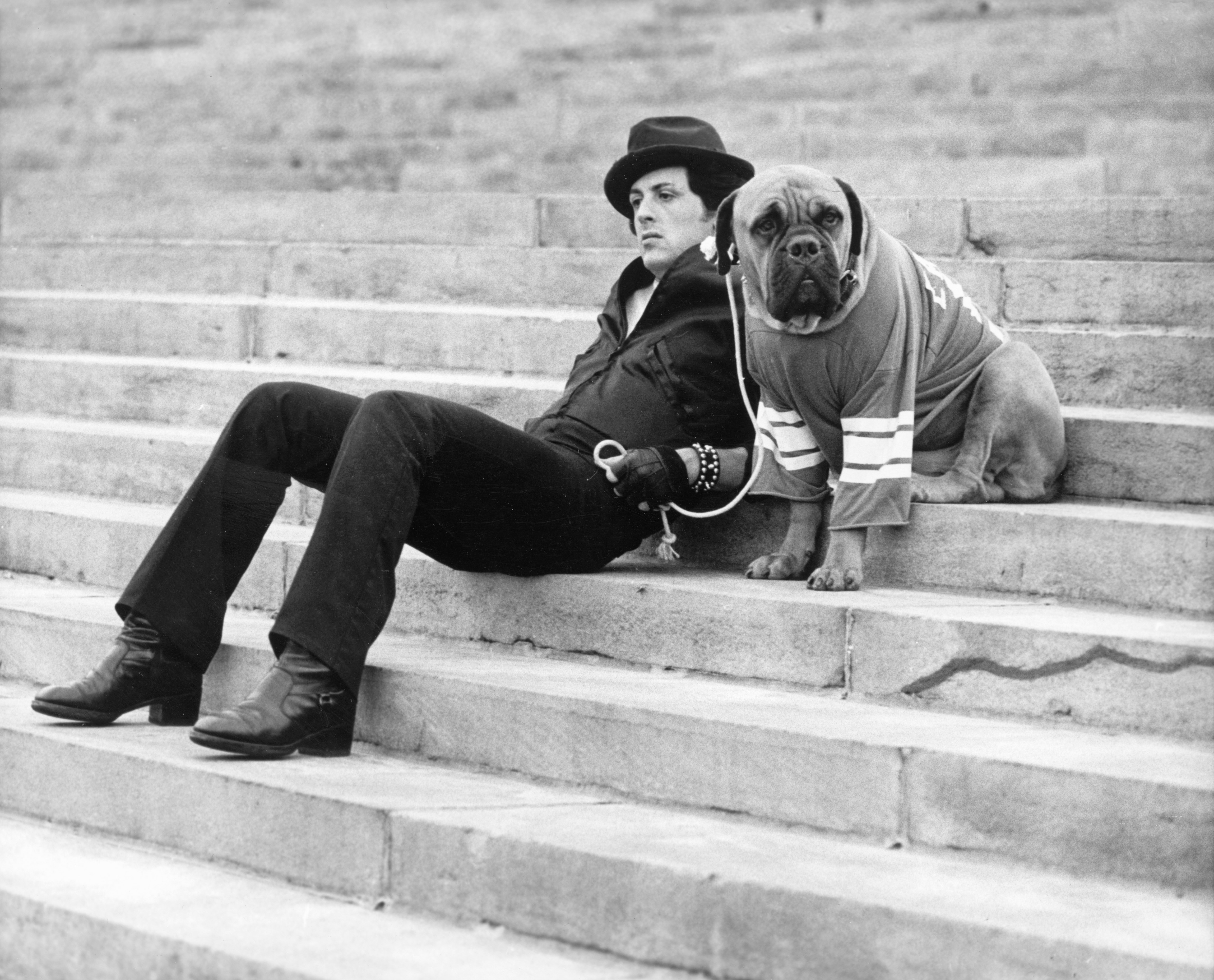 Image Source: Getty Images/United Artists | Photo of Stallon in Rocky w/ a dog