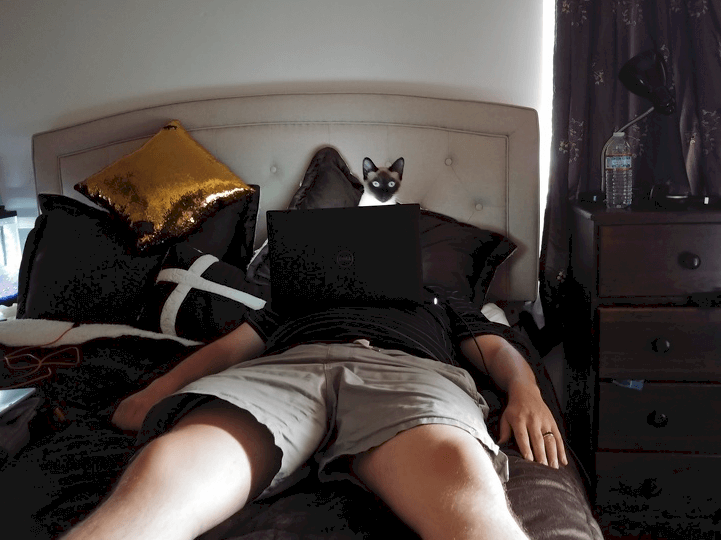 Créditos de imagen: Reddit/TheCatAteItToday Créditos de imagen: Reddit/TheCatAteItToday