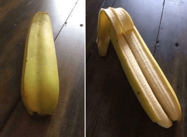Créditos imagen: imgur/DishesSeanConnery Créditos imagen: imgur/DishesSeanConnery