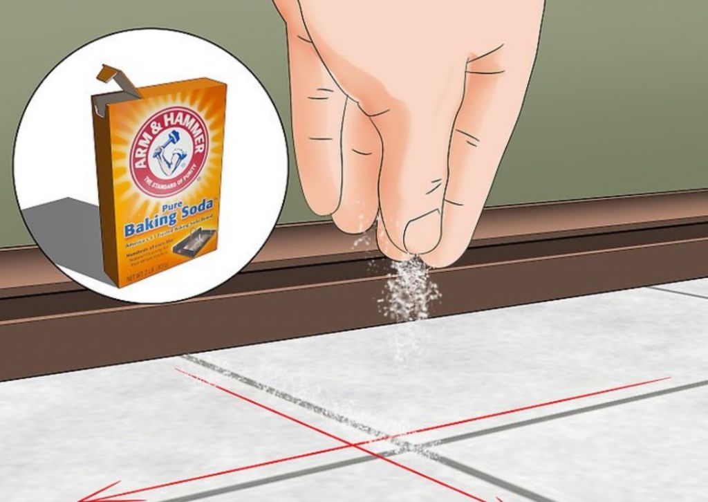 Image Credits: WikiHow Image Credits: WikiHow