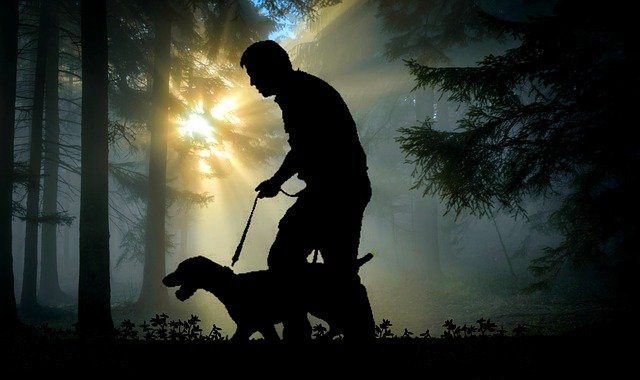 Image Credit: Pixabay